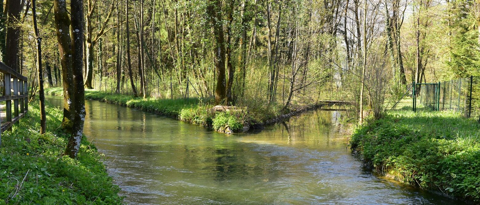 Almkanal